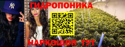 спайс Бийск