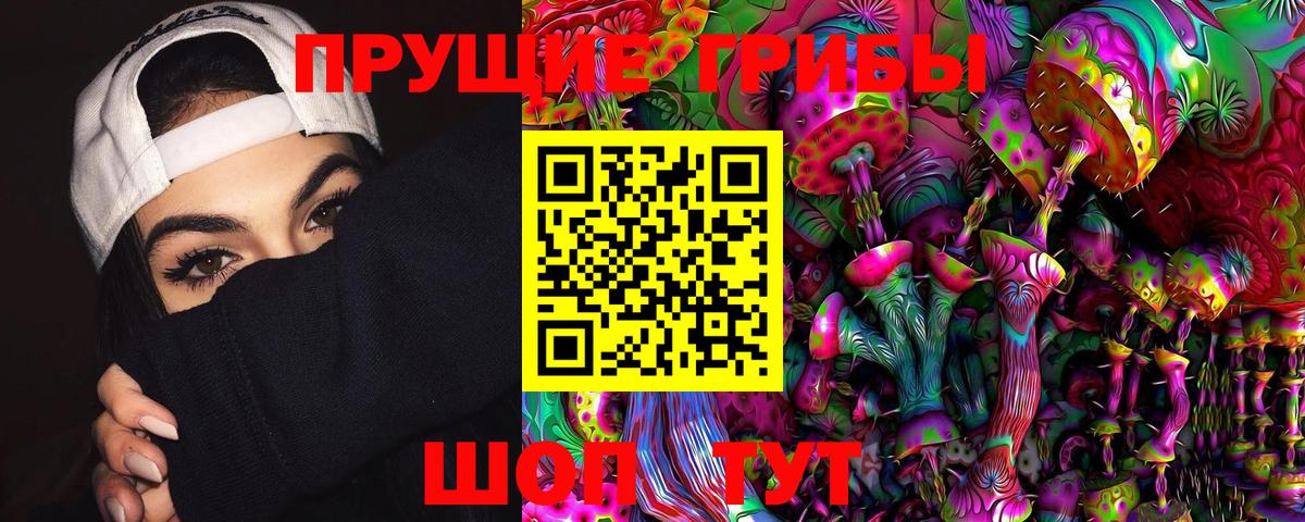 Грязи  Псилоцибиновые грибы Psilocybine cubensis  Вход с VPN 